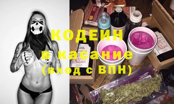 хмурый Алзамай