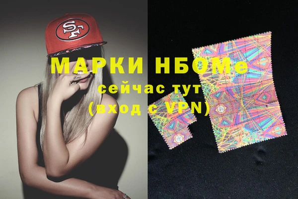хмурый Алзамай